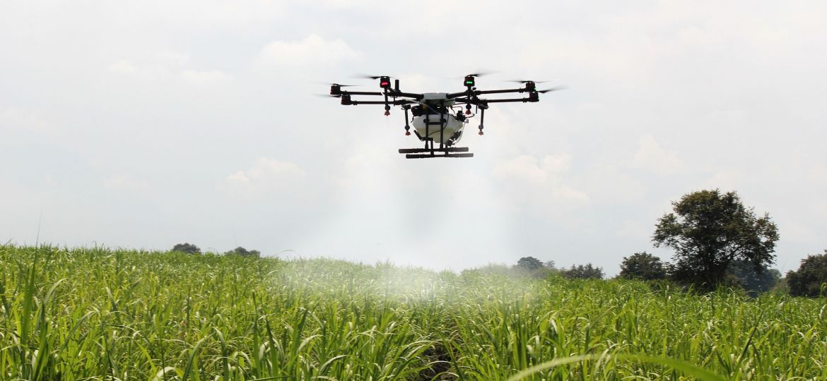drone-technology-hemp-cultivation