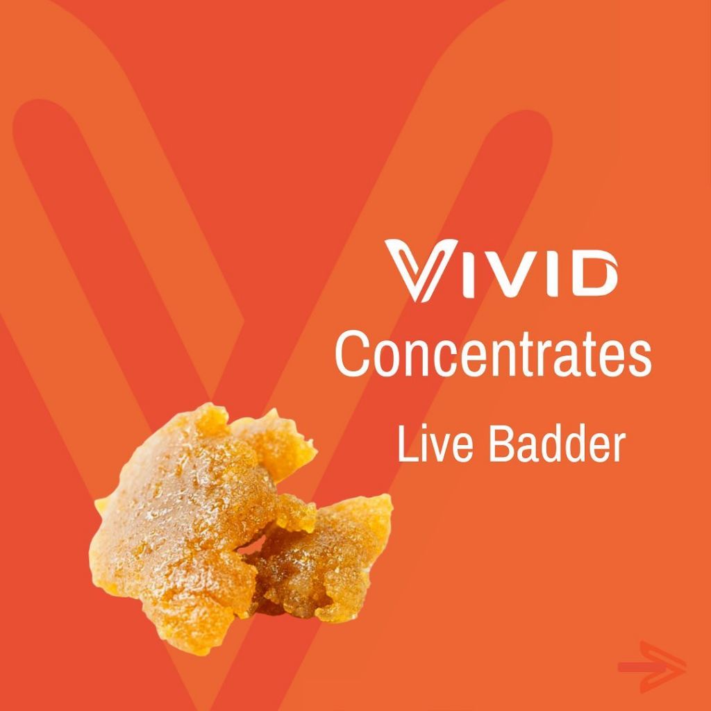 vivid-concentrates-badder