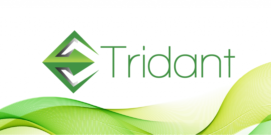 tridant-seed-to-sale